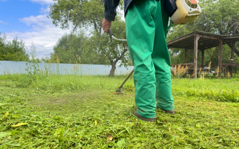 Weed Wacking Costs Explained — Cost of weed wacking