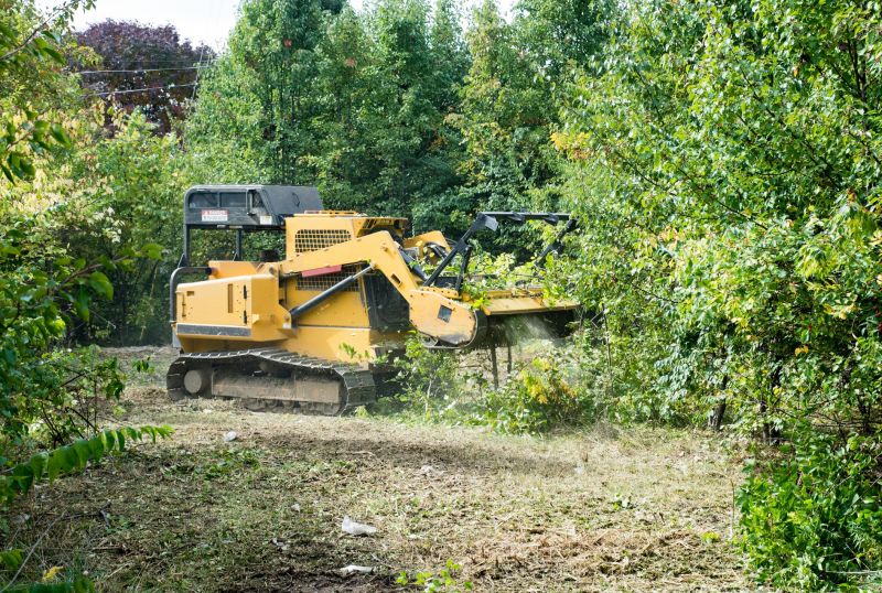 Weed Wacking Costs Explained — Cost of weed wacking