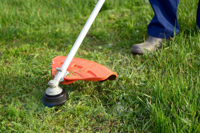 Weed Wacking Costs Explained — Cost of weed wacking