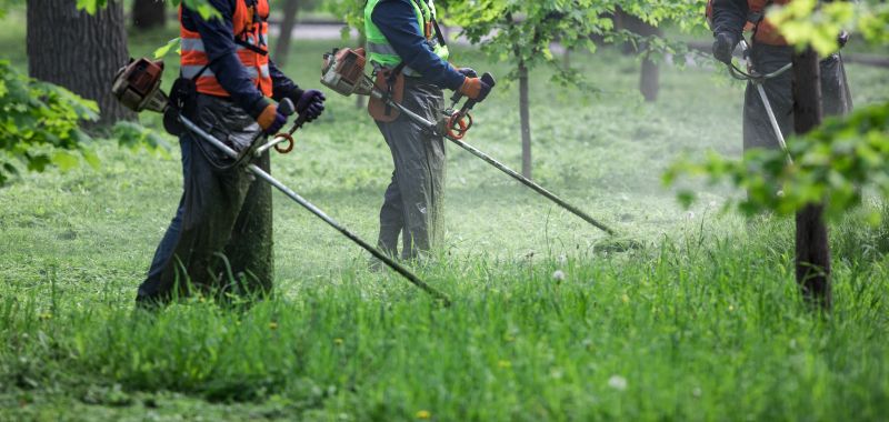 Weed Wacking Costs Explained — Cost of weed wacking