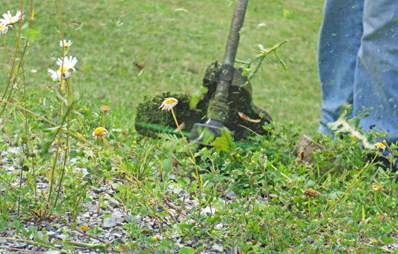 Weed Wacking Equipment